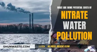 Nitrate Pollution's Price: Environmental and Health Costs