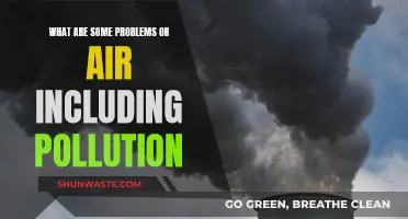 Air Pollution: Understanding Our Air's Silent Killers