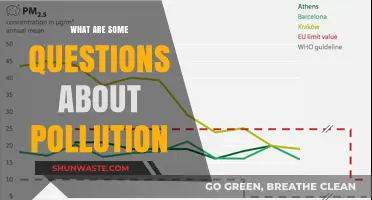 Pollution FAQs: Understanding Environmental Concerns