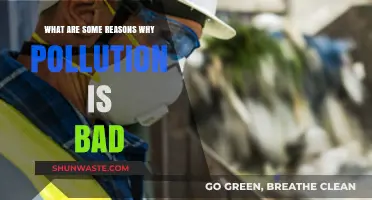 Pollution's Harmful Effects on Our Planet and Health