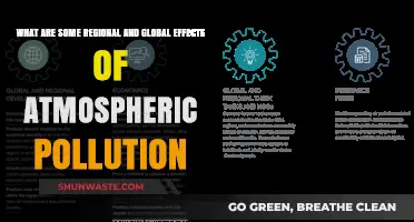 Atmospheric Pollution's Global and Regional Impacts