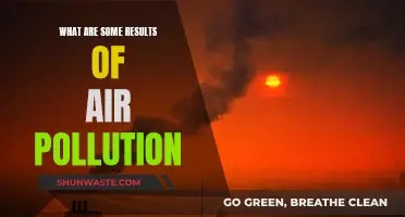 Air Pollution's Devastating Impact on Our Planet and Health