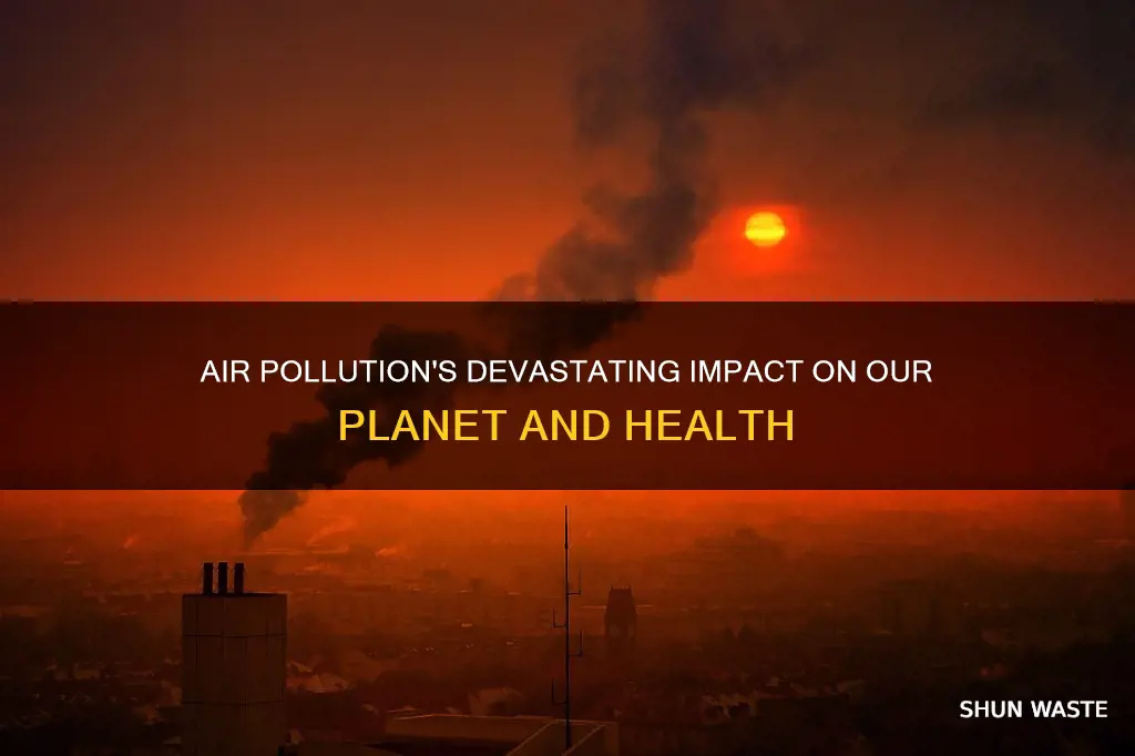 what are some results of air pollution