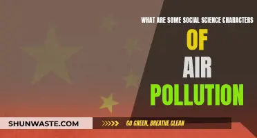 Air Pollution's Social Science Aspects Explored