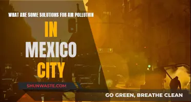 Mexico City's Air: Solutions for Cleaner Breathing