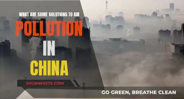 Solving China's Air Pollution Crisis