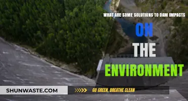 Mitigating Dam Impacts: Sustainable Solutions for Environmental Preservation