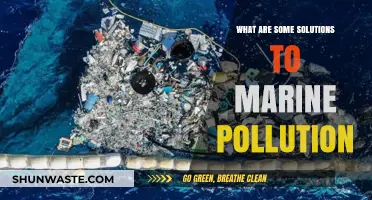 Combating Marine Pollution: Strategies for a Cleaner Ocean