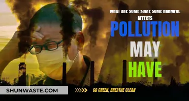 Pollution's Harmful Effects: Damaging Our Health and Environment