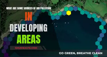 Developing Areas: Air Pollution Sources Revealed