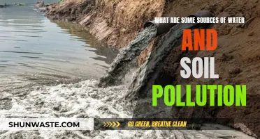 Unveiling the Hidden Sources: Water and Soil Pollution Explained