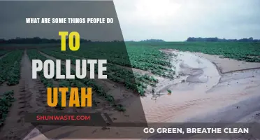 Human Actions Polluting Utah's Environment