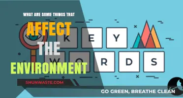 Human Activities and Natural Factors Impacting Our Environment Today