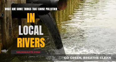 Unveiling the Hidden Causes of River Pollution: A Local Perspective