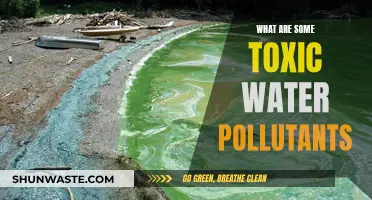 Unveiling the Hidden Dangers: Toxic Water Pollutants and Their Impact