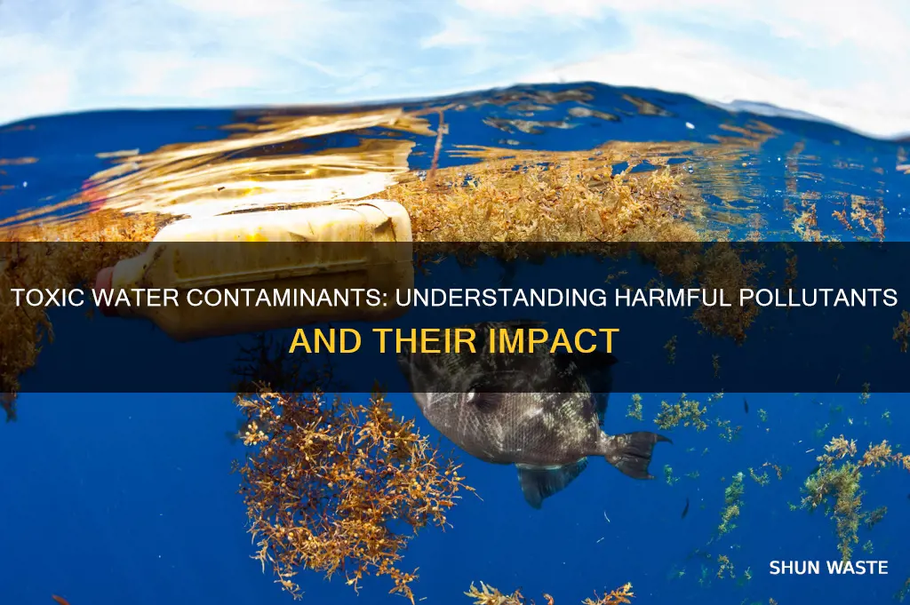 what are some toxic water pollutants