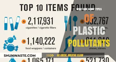 Plastic Pollutants: Understanding the Different Types
