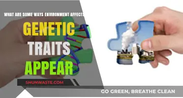 How Environmental Factors Shape the Expression of Genetic Traits