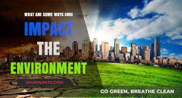 GMO Environmental Impact: Exploring Effects on Ecosystems and Biodiversity