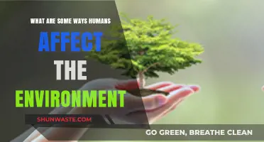 Human Impact: How Our Actions Shape the Environment Daily