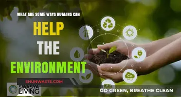 Sustainable Living: Simple Actions to Protect Our Planet and Future
