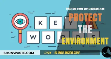 Sustainable Living: Practical Ways Humans Can Protect Our Environment