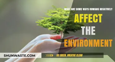 Human Actions Harming Nature: Uncovering Our Environmental Impact