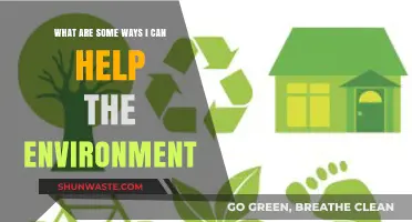 Simple Eco-Friendly Actions to Protect and Preserve Our Planet