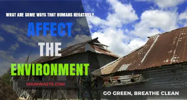 Human Impact: Destructive Habits Harming Our Planet's Fragile Ecosystems