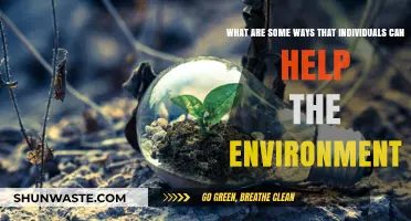Sustainable Living: Simple Actions to Protect Our Planet and Environment