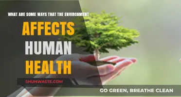 Environmental Impacts on Human Health: Key Factors and Their Effects