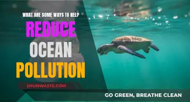 Effective Strategies to Reduce Ocean Pollution