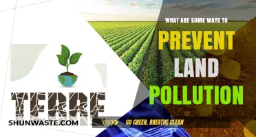 Preventing Land Pollution: Simple Ways to Make a Difference