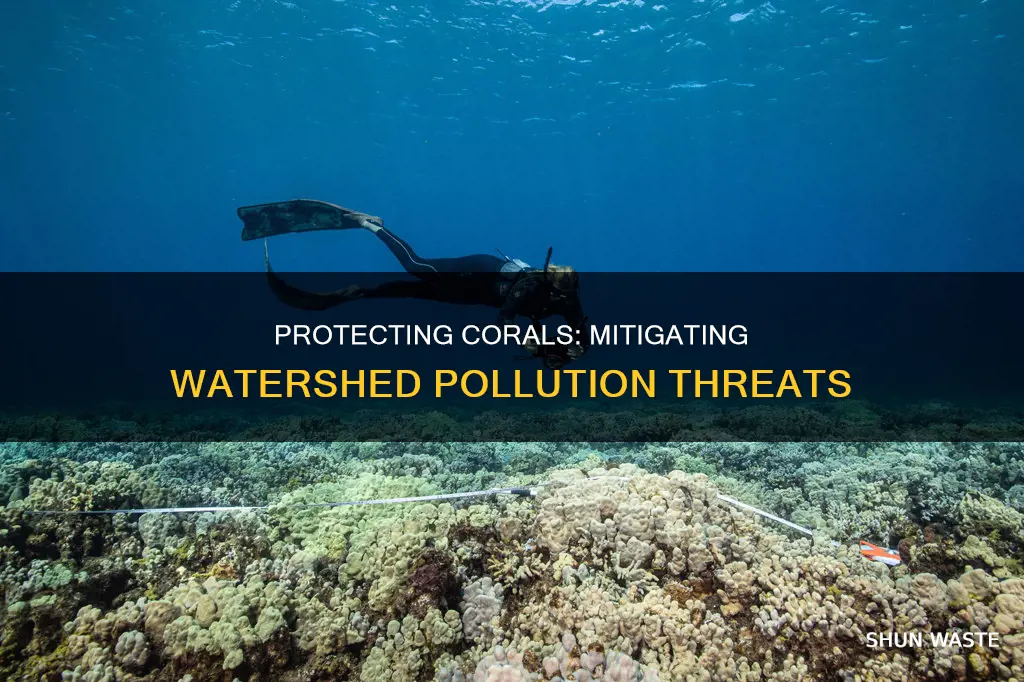 what are some ways to protect corals from watershed pollution