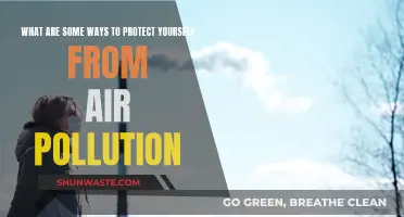 Protecting Yourself: Air Pollution Defense Mechanisms