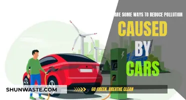 Green Driving: Simple Steps to Cut Car Pollution