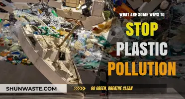 Preventing Plastic Pollution: Simple Ways to Make a Difference