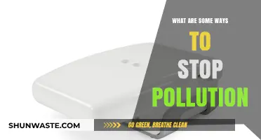 Reducing Pollution: Strategies for a Cleaner Environment