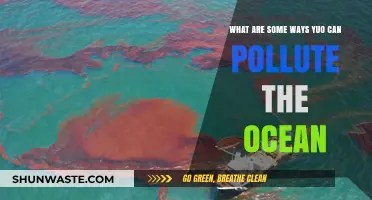 Ocean's Plight: Unveiling Human-Induced Pollution and Its Impact