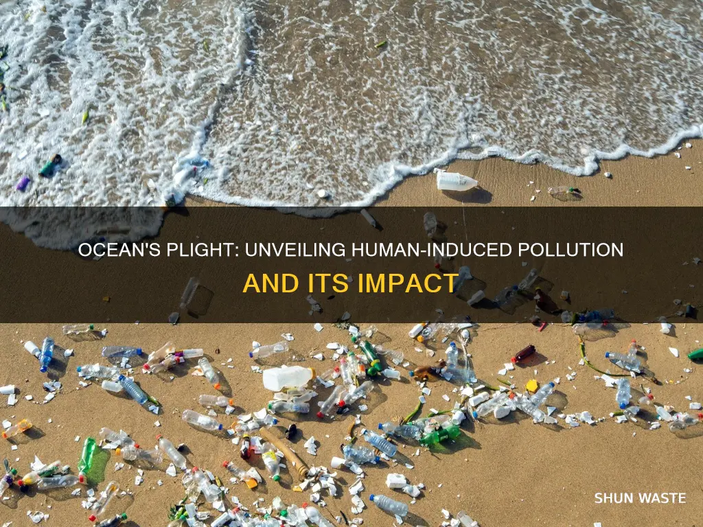 what are some ways yuo can pollute the ocean