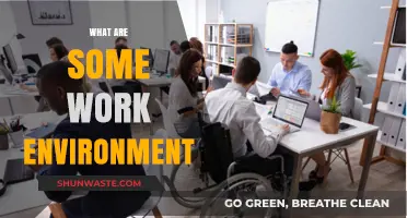 Exploring Diverse Work Environments: Types, Benefits, and Impact on Productivity