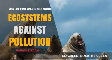 Protecting Marine Life: Fighting Pollution