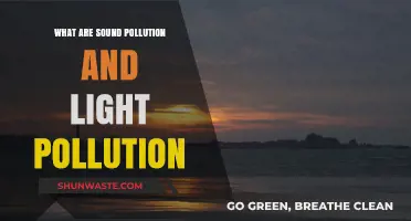 Understanding Sound and Light Pollution