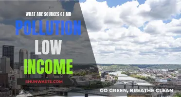 Air Pollution's Low-Income Sources: A Deadly Cycle