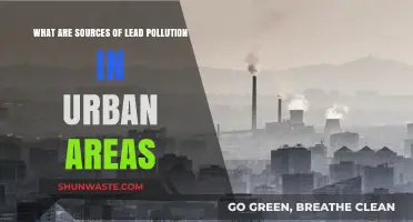 Sources of Lead Pollution in Urban Areas Explored