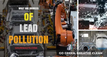 Sources of Lead Pollution: A Concern for All