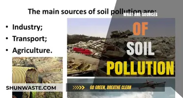 Soil Pollution: Understanding the Main Culprits