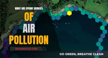 Air Pollution: Sources and Their Harmful Effects
