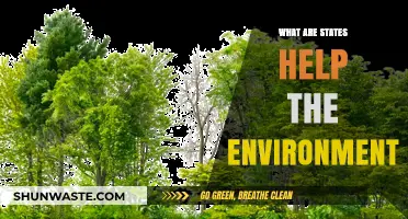 How States Lead Environmental Change: Policies and Actions for a Greener Future
