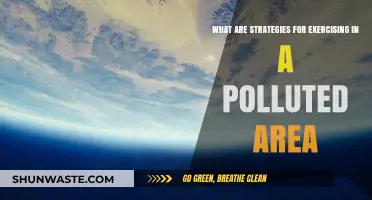 Exercising in Polluted Areas: Strategies for Safe Workouts